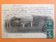 Old postcard LANDES STÉCASSE SHEPHERÈRE SHEEP Beef Hitch to Mr X. DUPIN de SAMADET