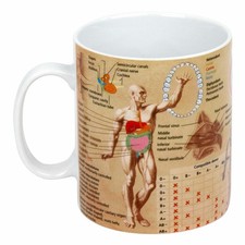 Könitz Medicine Knowledge Mug