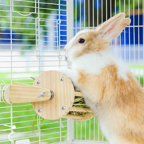 Mangeoire foin pour cage à - pour,