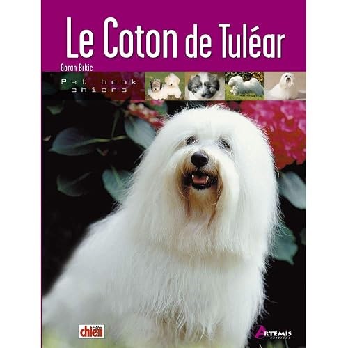 Coton tuléar - de,