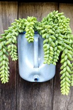 Ancien pot émaillé