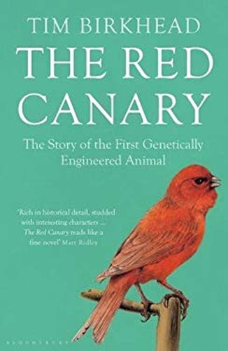 Rouge canari l historique - canari, l'historique