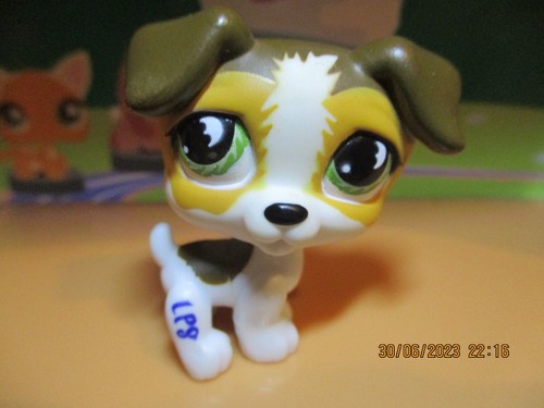 Petshop chien jack russel - chien,