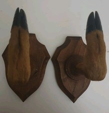 2 Porte-manteaux Ou Porte