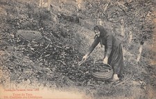 CPA 81 TYPES DU TARN /