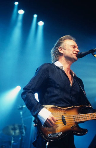 Sting sportpaleis antwerpen - sting,