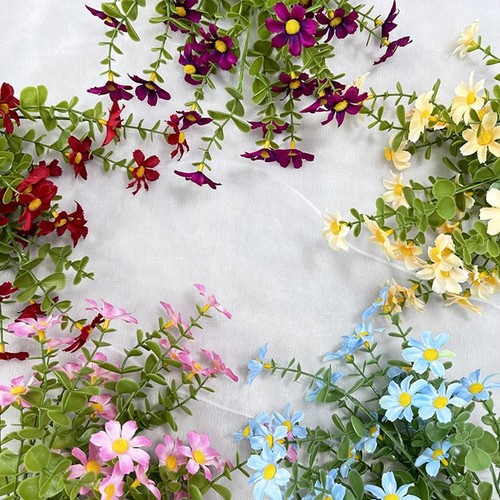 Fleurs marguerite - de,