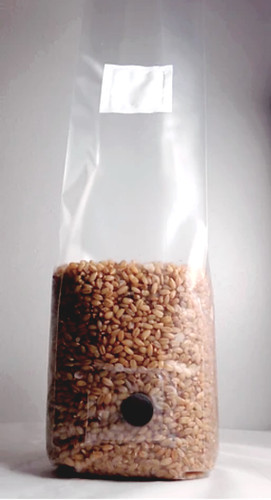 One sterilized rye - one,