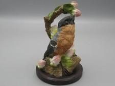 Oiseaux - Le bouvreuil