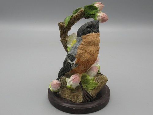 Oiseaux le bouvreuil - -,