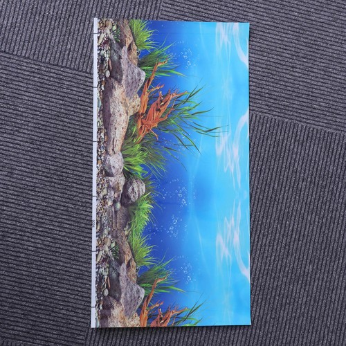 Décoration aquarium fond - décoration, d'aquarium