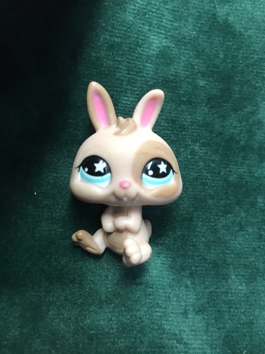 Petshop lapin nain - 💖🌺,