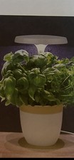 Potager D’intérieur