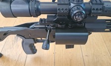 Ruger Rimfire precision -