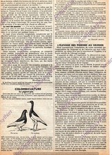  LE PIGEON PIE OLD ATTIC BREEDING COLOMBICULTURE PRESS ARTICLE 1939