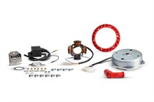 Allumage Malossi Power Piaggio