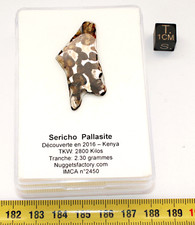 Tranche de Sericho / Pallasite
