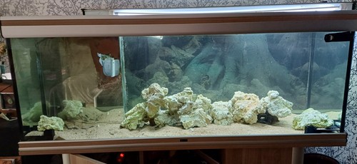 Aquarium complet - aquarium,