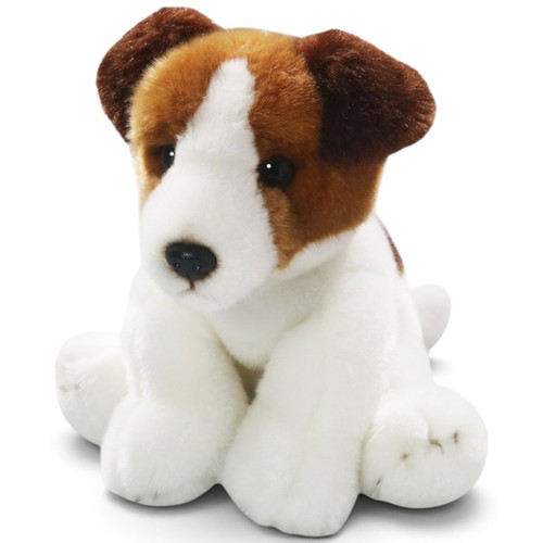 Carl dick jack russel terrier - russel,