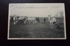 FRANCE - carte postale en