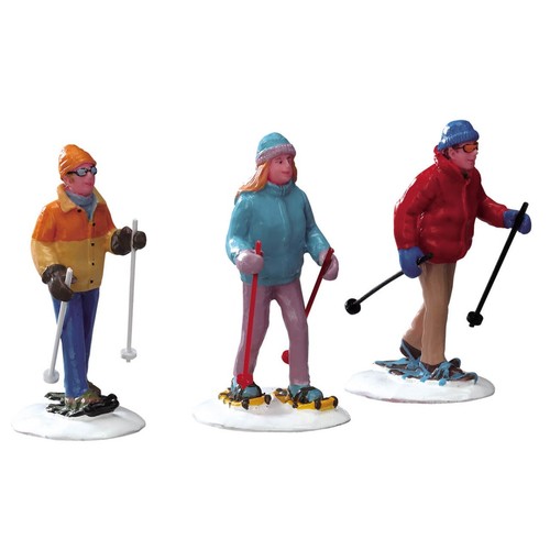 Raquettes neige ensemble - raquettes, neige,