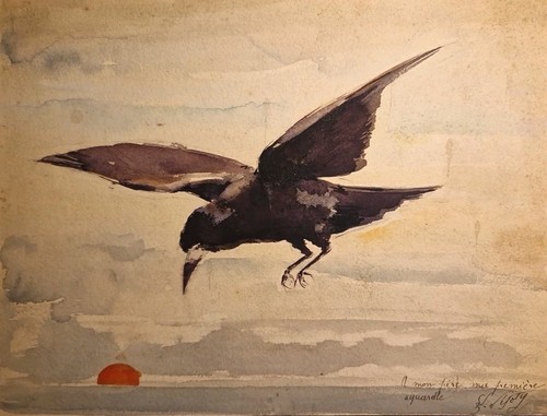 Aquarelle curiosité dessin - curiosité,