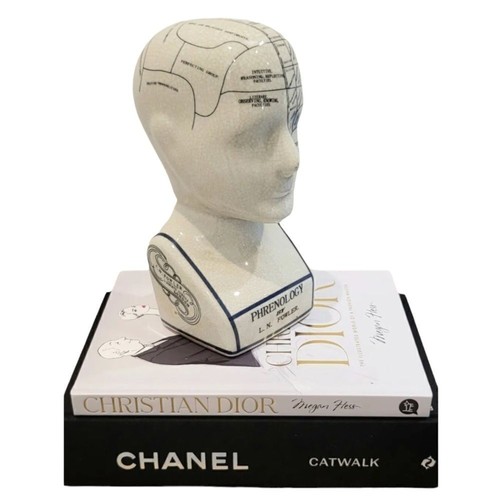 Phrenology head l - phrenology, head 9"