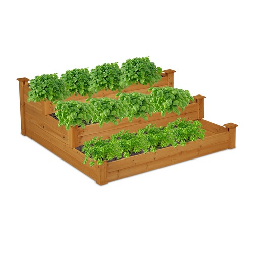 Carré potager bois jardin - carré,