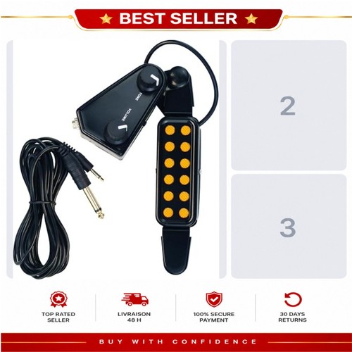 Micro magnétique guitare