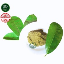 Poudre de feuilles de corossol 100 % naturelles Graviola Guanabana Wellness T...