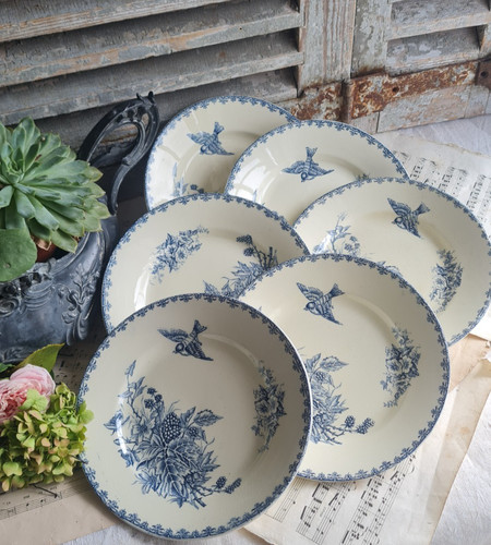 Anciennes assiettes plates - anciennes,