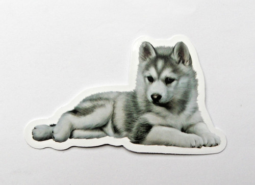 Vianille sticker thème - -,
