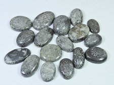 253Cts. Cabochon ovale corail fossile noir naturel pierre précieuse en vrac l...