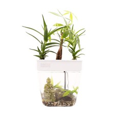 Hydroponique Back to the Roots