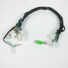 Faisceau electrique de