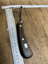 Rainette marquage Forestier