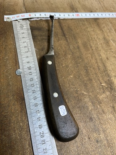 Rainette marquage forestier - marquage,