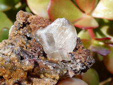 Large Cerusite Cerussite Congo Crystal 4.5x3x3cm Minerals Stone Collection