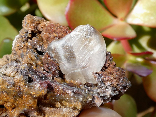 Gros cristal cerussite congo - gros,