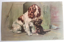 Carte Postale Ancienne  Chats