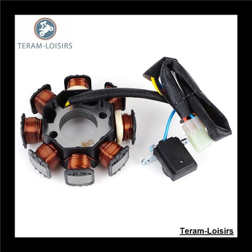 Stator pour polaris - pour, yfm