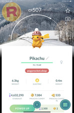 Shiny Pikachu Beanie Costume