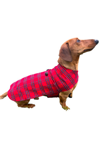 Manteau pour chien flanelle