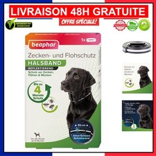 Collier Chien de 65 cm