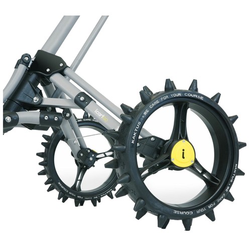 Kaktus chariot golf - kaktus,