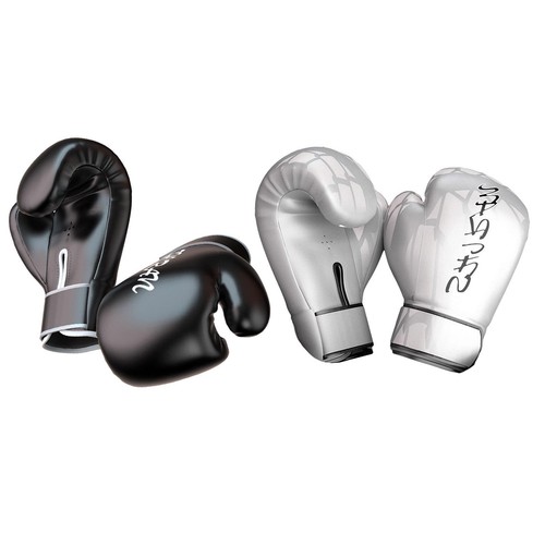 Gants boxe muay thai - boxe,
