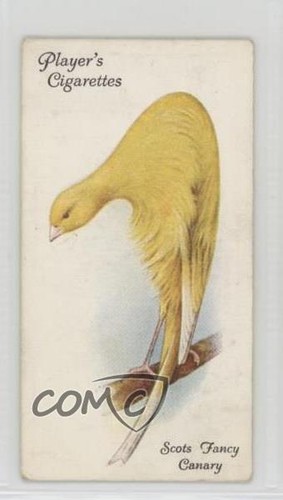 1933 player aviary and - 1933, player's