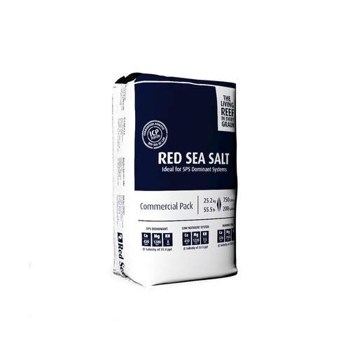 Red sea fish - red,