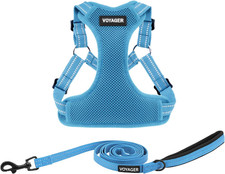 Best Pet Supplies Voyager