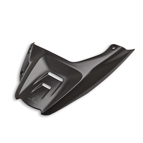 Garde boue carbone - carbone, original
